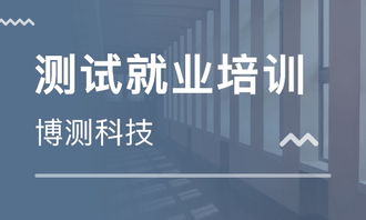 石家莊計算機軟件開發課程